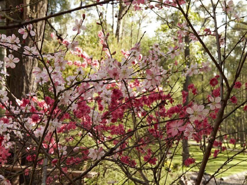 Wild Woods At Pokolbin Villa Exterior photo